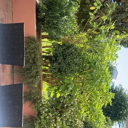 Rez De Jardin En Plein Coeur De Puerto Banus *